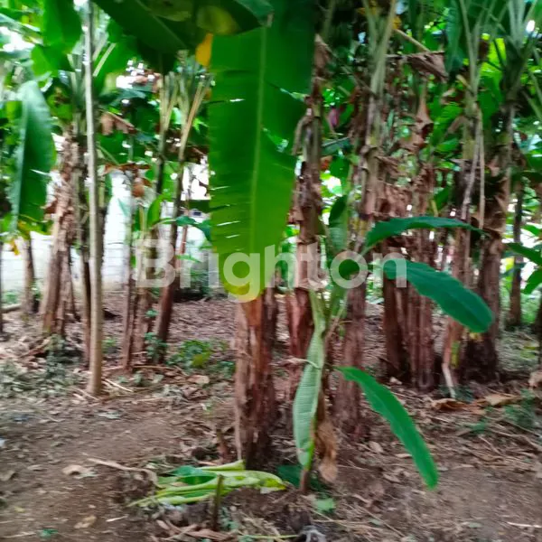 TANAH KEBON JL.RAYA  PARUNG SERAB KOTA TANGERANG