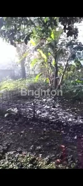 image TANAH DATAR DI PINGGIR JALAN SINDANGGALIH CIMANGGUNG PARAKAN MUNCANG  SUMEDANG (4)