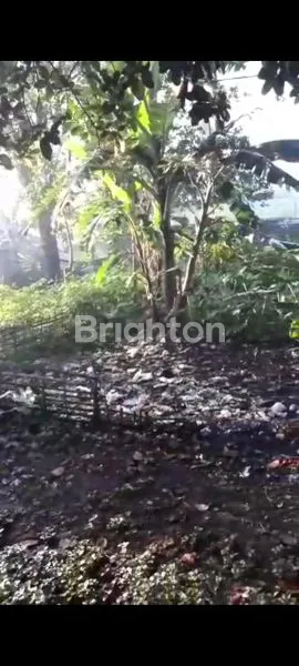 image TANAH DATAR DI PINGGIR JALAN SINDANGGALIH CIMANGGUNG PARAKAN MUNCANG  SUMEDANG (5)