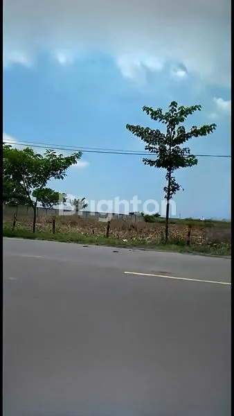 image TANAH DEKAT JALAN RAYA TUBAN - BABAT, JAWA TIMUR (2)