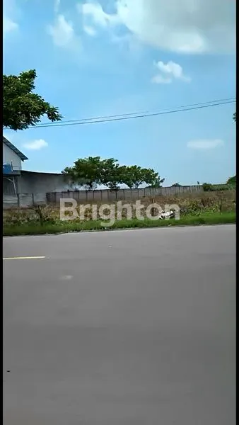 image TANAH DEKAT JALAN RAYA TUBAN - BABAT, JAWA TIMUR (3)