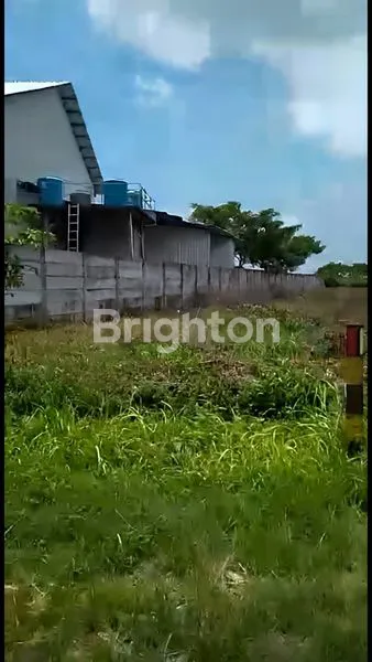 image TANAH DEKAT JALAN RAYA TUBAN - BABAT, JAWA TIMUR (4)