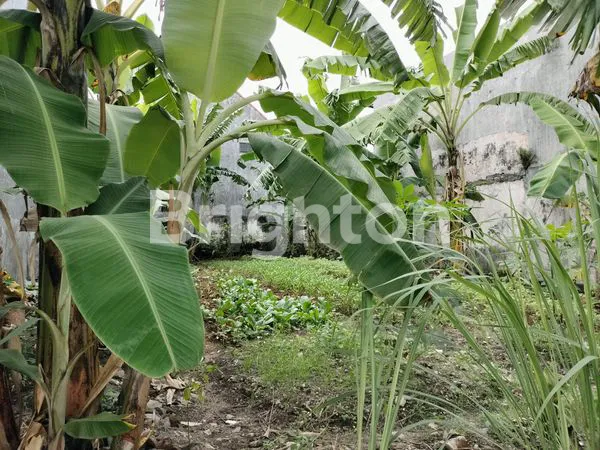 image TANAH PERUMAHAN AURI SUDAH URUK SIAP  BANGUN (3)