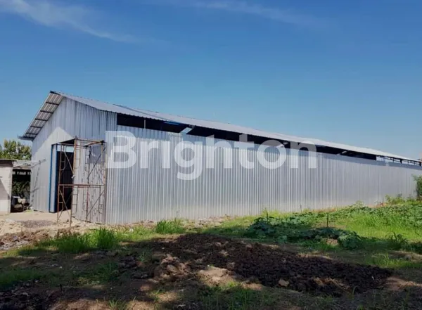 image GUDANG SIAP PAKAI DENGAN FULL PAGAR SENG DI SAMBIKEREP LOKASI BEBAS BANJIR (3)