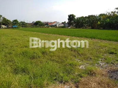 image TANAH DI NOL JL LINGKAR TIMUR (1)