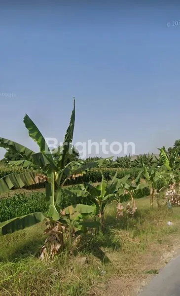 NGORO INDUSTRI PUNGGING MOJOKERTO