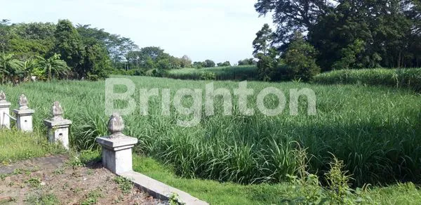 TANAH DIJUAL BERPELUANG BISNIS TURUN HARGA