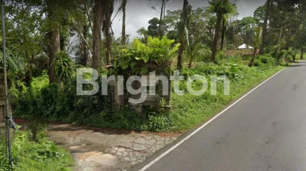 image TANAH PAYANGAN UBUD HUTAN & LEMBAH VIEW 15 MENIT KE KINTAMANI (1)