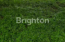 image KAVLING TELUK GOLF CITRALAND DEKAT SELAT GOLF PUNCAK GOLF (2)