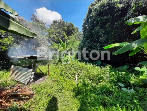 TANAH KAVLING SIAP BANGUN ADA 3 KAVLING BERENDENG DI CIGADUNG BANDUNG - KAV. C