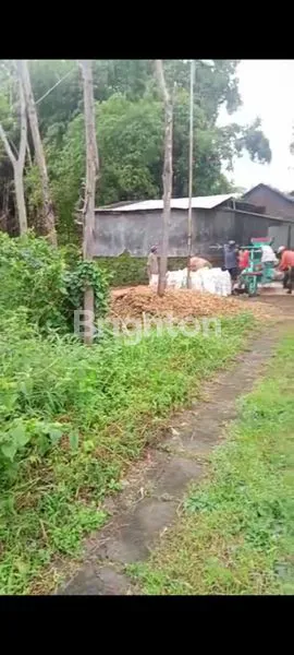 image TANAH KEBUN PACET (1)