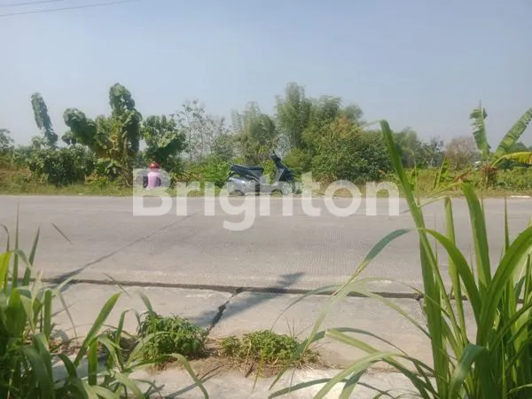 image BU BANGET SIAP NEGO TANAH KOSONG DI  DESA SOOKO. WRINGINANOM.  KABUPATEN GRESIK (1)