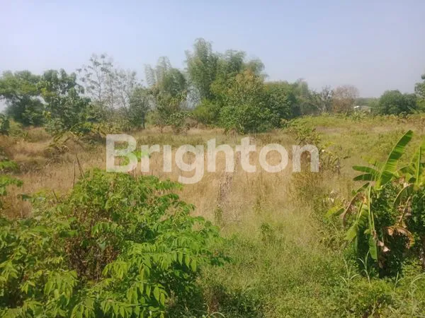 image BU BANGET SIAP NEGO TANAH KOSONG DI  DESA SOOKO. WRINGINANOM.  KABUPATEN GRESIK (3)