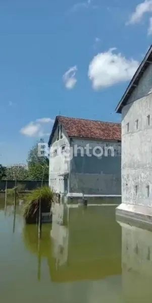 RUMAH ,SARANG BURUNG WALET, MASIH  PRODUKSI PANEN