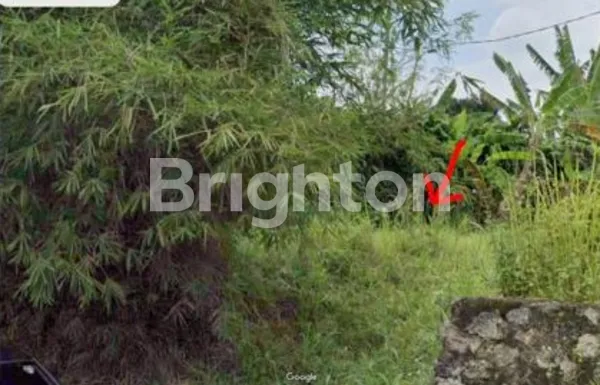 image KAVLING JALAN UTAMA DILOKASI STRATEGIS 200 METER DARI POLSEK CIAMPEA BOGOR  (2)