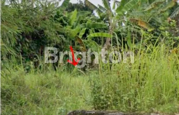 image KAVLING JALAN UTAMA DILOKASI STRATEGIS 200 METER DARI POLSEK CIAMPEA BOGOR  (3)