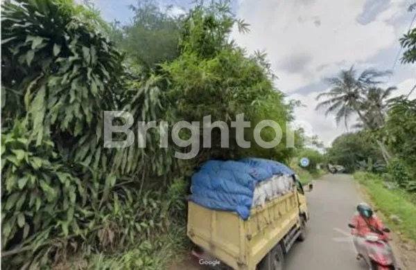 image KAVLING JALAN UTAMA DILOKASI STRATEGIS 200 METER DARI POLSEK CIAMPEA BOGOR  (7)