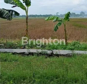 image TANAH UNTUK CLUSTER KECIL SIDOARJO (1)