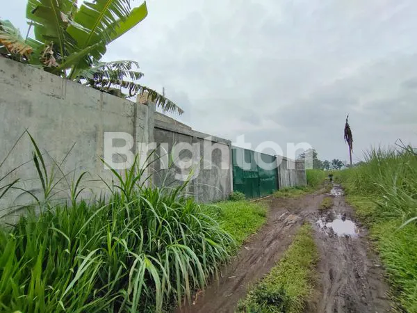 image LAHAN GUDANG PAKIS (4)