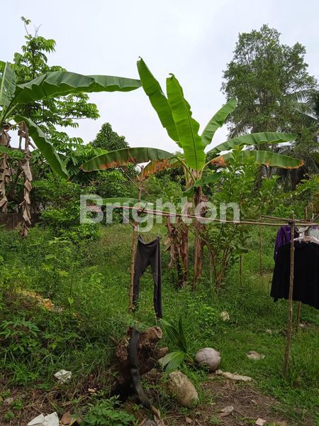 image TANAH TENGAH KOTA LOKASI PREMIUM (4)