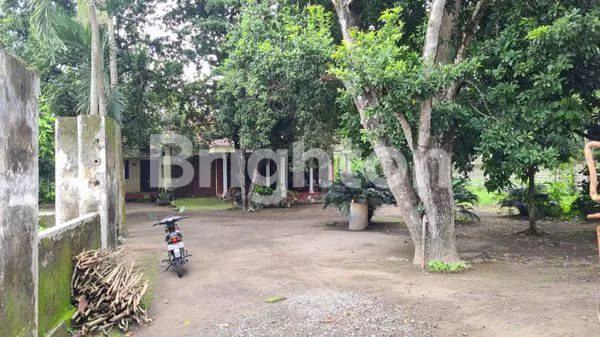 image TANAH LUAS GUDANG PABRIK KEDIRI (4)