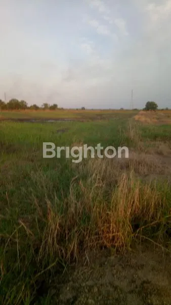 JUAL TANAH LOKASI TANJUNG SIAPI API