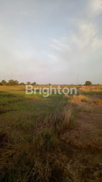 image JUAL TANAH LOKASI TANJUNG SIAPI API  (3)