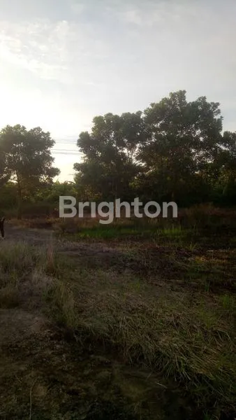 image JUAL TANAH LOKASI TANJUNG SIAPI API  (4)