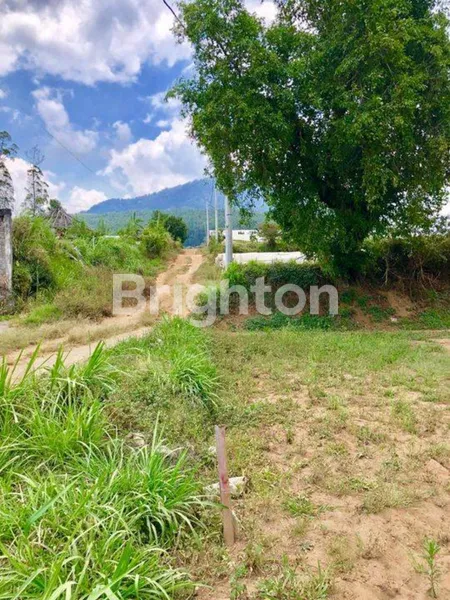 image TANAH KAVLING SIAP BANGUN DI BEDUGUL BALI STRATEGIS DEKAT KAWASAN WISATA (1)