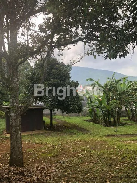 image DI JUAL TANAH 3 HA DI CISA LADA DEKAT TOL BOCIMI - LIDO.BOGOR COCOK UNTUK VILA, KULINERAN (5)