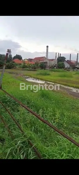 image LAHAN URUG PADAT, NOL JALAN RAYA KRIAN (2)