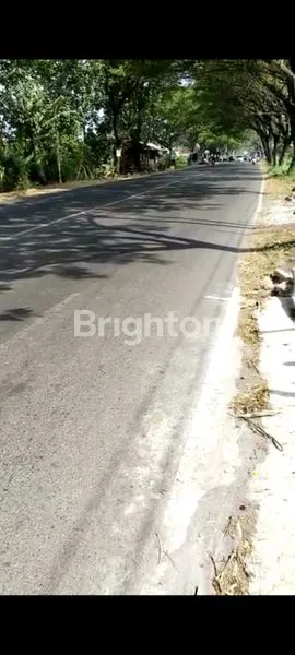 TANAH DAN GUDANG NOL JALAN KABUPATEN MOJOKERTO MURAH
