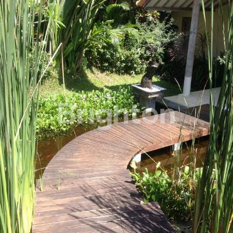 image VILLA LAHAN BESAR VIEW SAWAH DAN HUTAN (7)