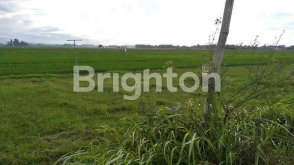 image TANAH MURAH BUTUH LAKU CEPAT (2)