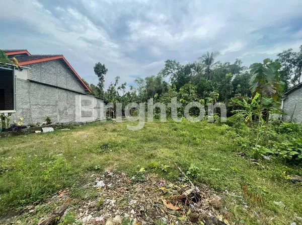 image TANAH PEKARANGAN DI PINGGIR JALAN RAYA KLEGO - BOYOLALI (4)