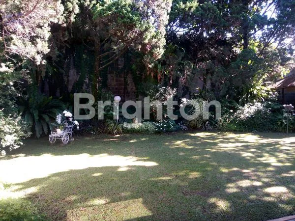 image RUMAH CANTIK SETIABUDI BANDUNG UTARA (5)