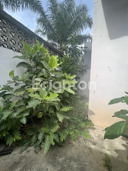 image RUMAH CATALINA BAGUS MASIH BARU GADING SERPONG (5)