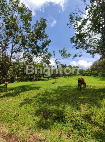 TANAH PERKEBUNAN 1.5 HEKTAR LOMBOK RAYA SEDAU