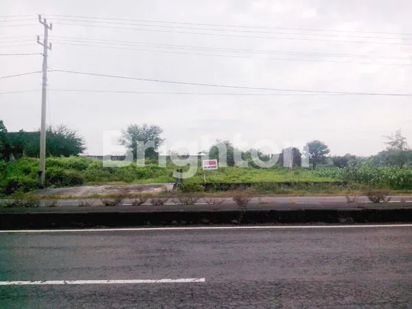 image TANAH LAMONGAN BABAT (GEMBONG )KAWASAN STRATEGIS (2)