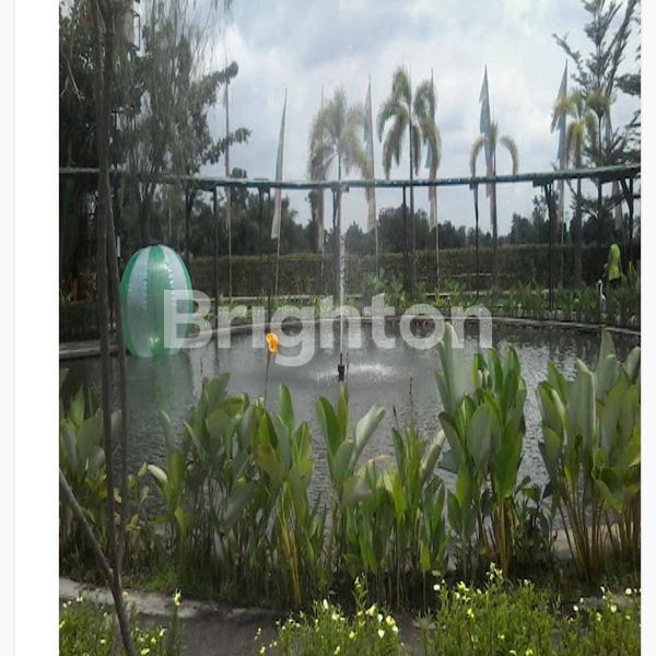 image TANAH BONUS BANGUNAN EX RESTO DI BOYOLALI (3)