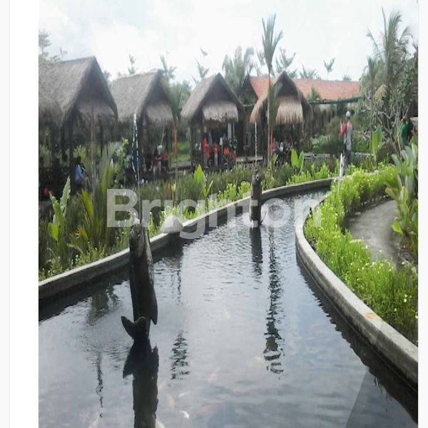 image TANAH BONUS BANGUNAN EX RESTO DI BOYOLALI (4)