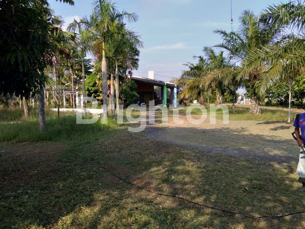 image TANAH BONUS BANGUNAN EX RESTO DI BOYOLALI (6)