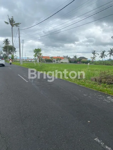 TANAH CEMAGI LOKASI PREMIUM COCOK UNTUK BUSINESS SPACE / VILLA BUSINESS