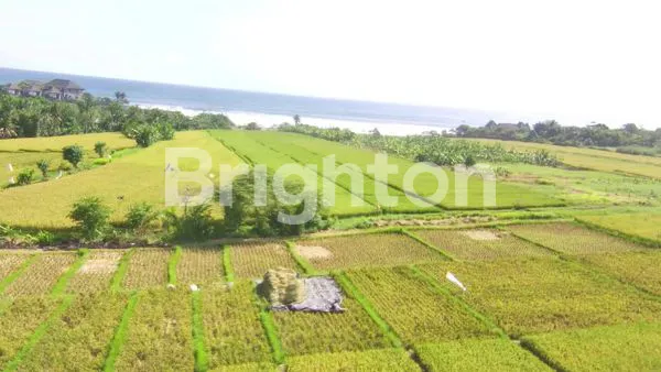 image TANAH DI PANTAI YEH GANGGA TABANAN RICE FIELD AND BEACH VIEW (3)