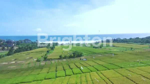 TANAH DI PANTAI YEH GANGGA TABANAN RICE FIELD AND BEACH VIEW