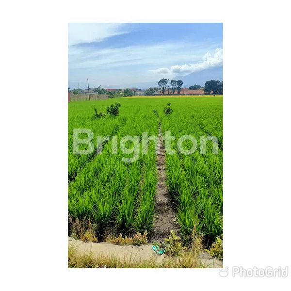 image HARGA MANIS SIAP DIBANGUN (2)