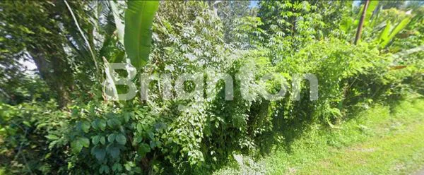 Gambar Property TANAH LUAS PINGGIR JALAN PUPUAN TABANAN BALI