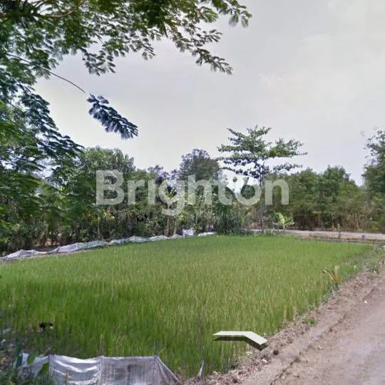 TANAH KEPOH DESA LAWU