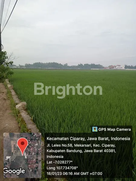 DUA LAHAN TANAH SAWAH  DESA MEKAR SARI -  PINGGIR JALAN - KECAMATAN CIPARAY