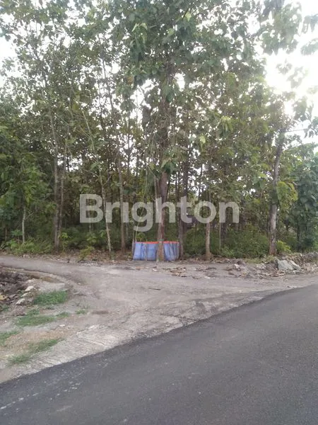 image TANAH VIEW PEMANDANGAN ALAM SUNGAI  (2)